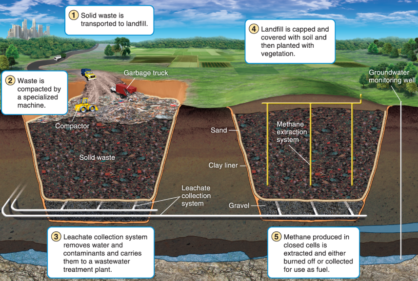 <p>little composition occurs in a landfill</p>