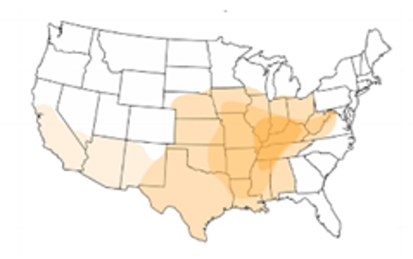 <p>subacute self-limited respiratory illness (like TB); disseminates to liver, spleen, and brain</p>