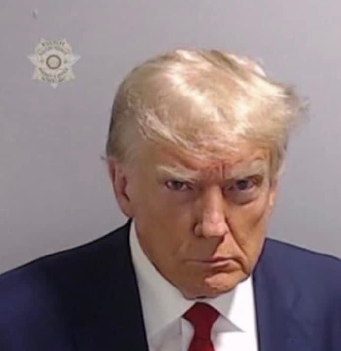 <p>deserving blame</p><p>Ex: A recent news article called for Trump’s resignation, citing the government shutdown as both plausible and <strong><em>reprehensible</em>.</strong></p>