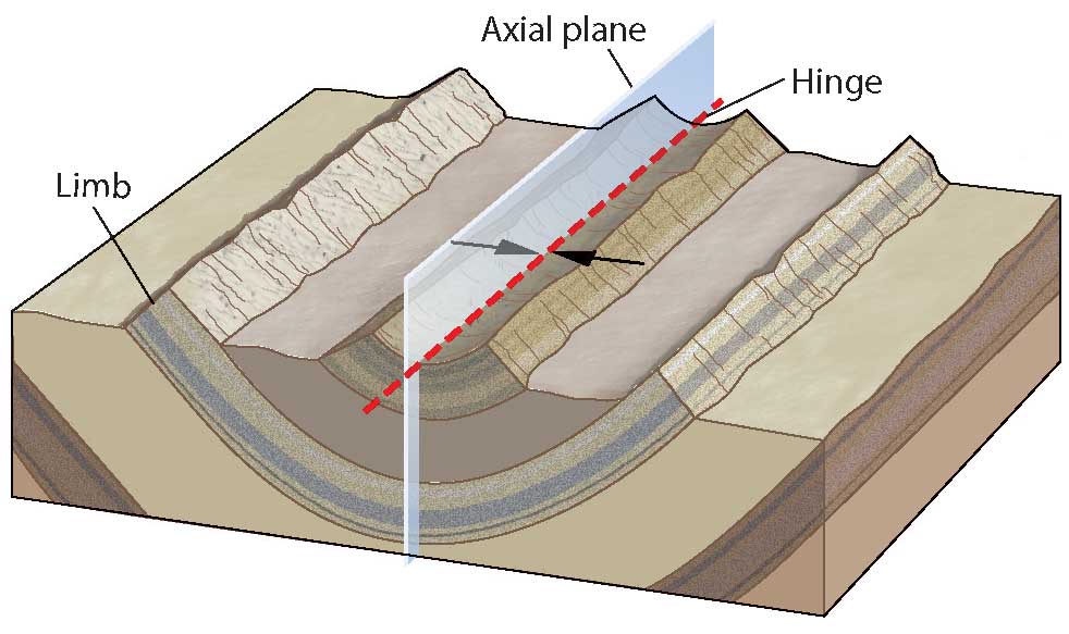 Identify the structure in the image.