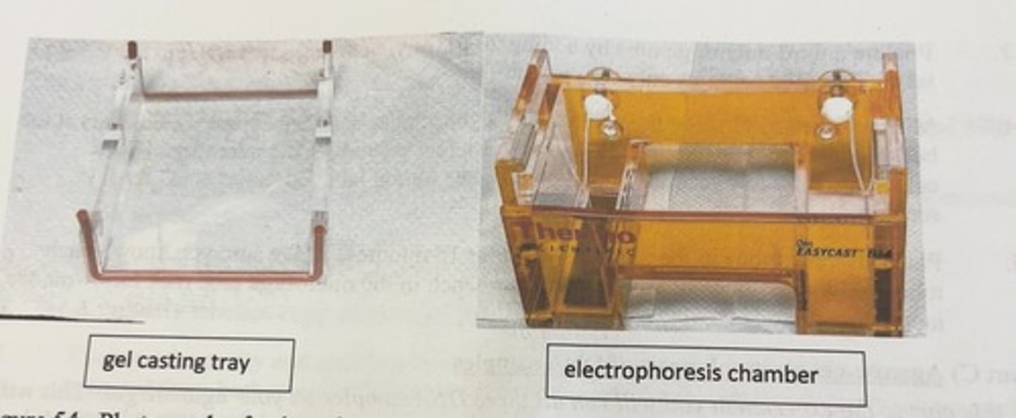 <p>as near as possible to the end of the casting tray</p><p>-the comb sits in slots cut into the walls of the casting tray</p>