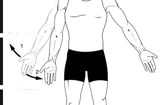 <p>What are these two movements called? </p>