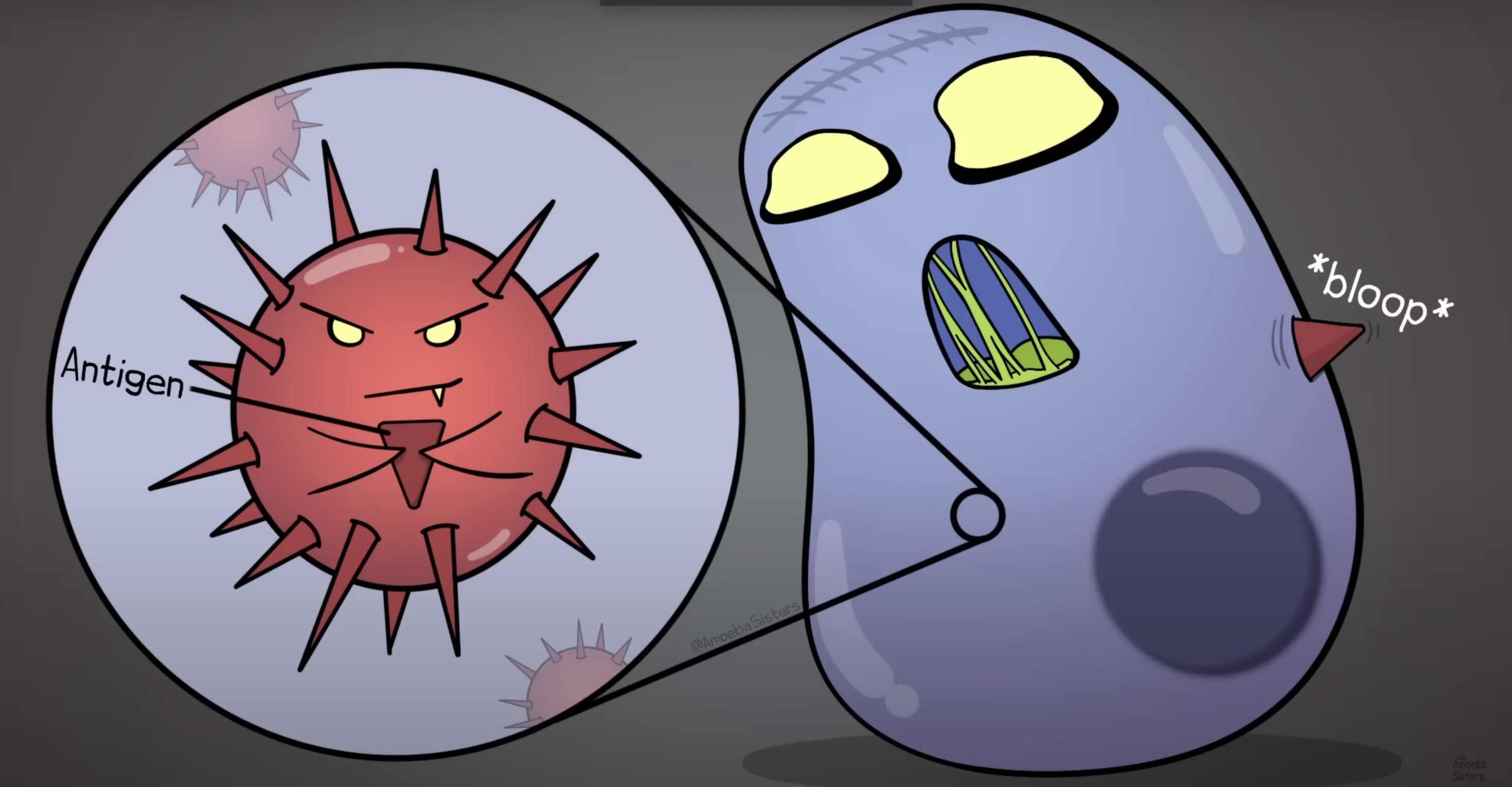 <p><span style="color: blue"><strong>Another</strong></span><strong> Antigen-Presenting Cell?</strong></p>