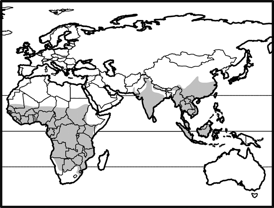 tropical africa, southern and southeast asia, including indonesia