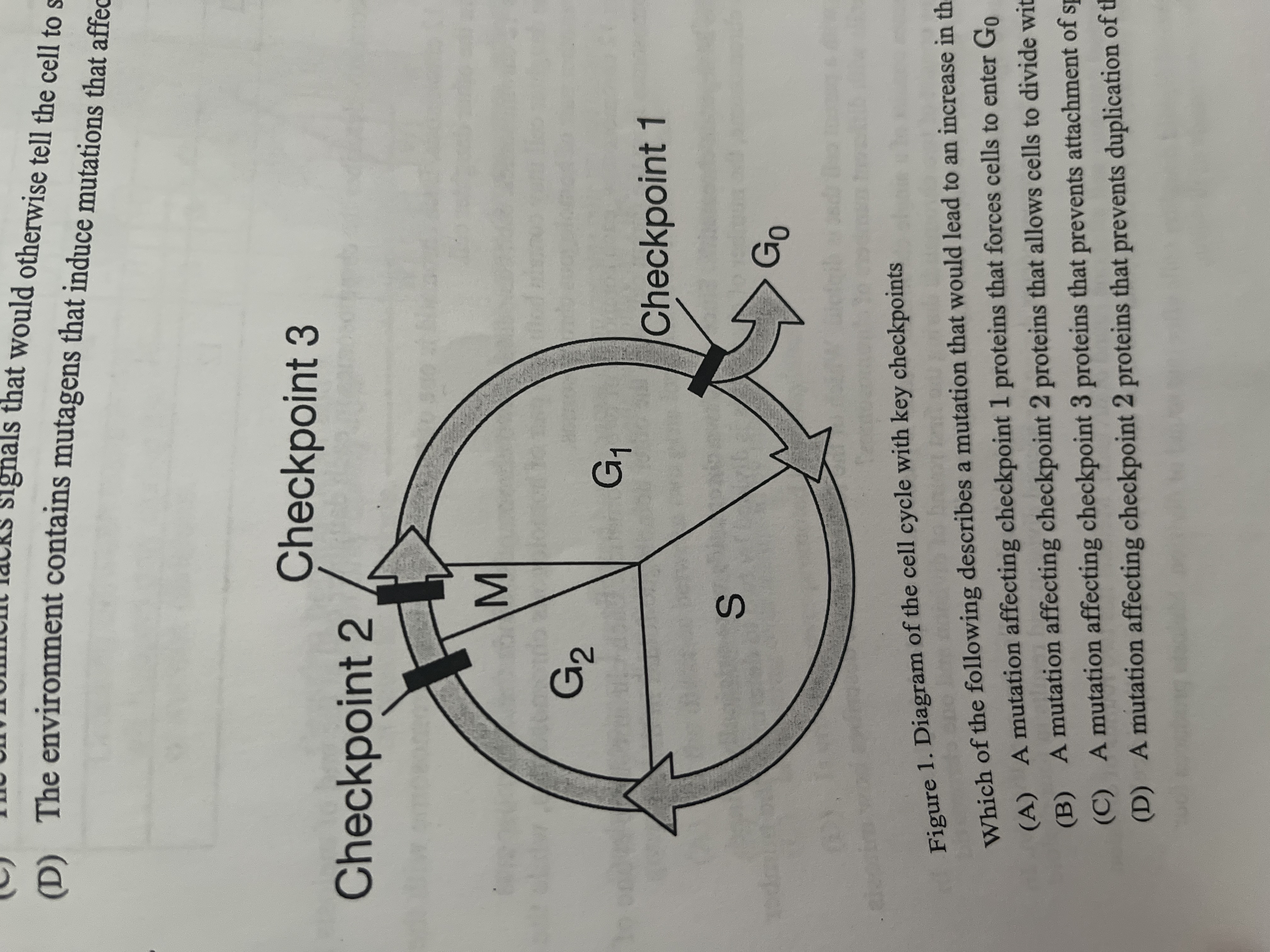 <p><span>Which of the following describes a mutation that would lead to an increase in the frequency of nondisjunction?</span></p>