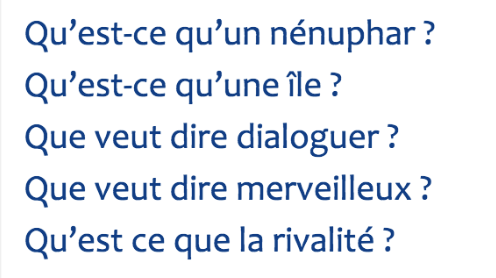 <p>→ capacités d’apprentissage mesurée au travers de l’étendue du vocabulaire et du degré d’élaboration des concepts verbaux</p><p>→ dépend de la qualité du milieu socio-culturel, de la mémoire de travail phonologique</p>