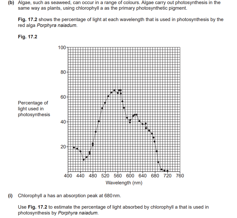 <p>ii) Explain why the percentage of light used in photosynthesis is higher than your answer to part (i) at wavelengths other than 680 nm.</p><p>iii) Porphyra naiadum grows in deep water. Use the data in Fig. 17.2 to suggest how it is able to survive in conditions where other types of algae or plant cannot.</p>