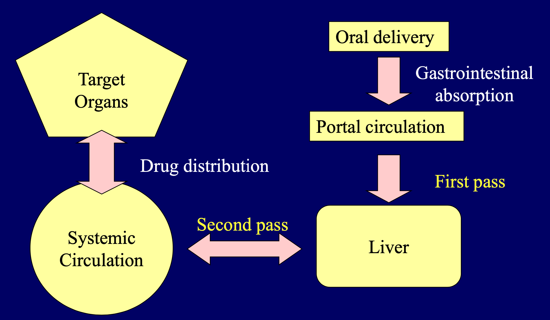 * Most preferred route of administration is oral
* Disadvantages prohibit oral administration of certain classes of drugs especially peptides and protein
  * Hepatic first pass metabolism
  * Enzymatic degradation within GI tract
