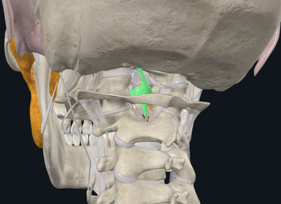 <p>What is highlighted</p>
