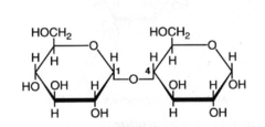 <p>alpha-glycosidic</p>