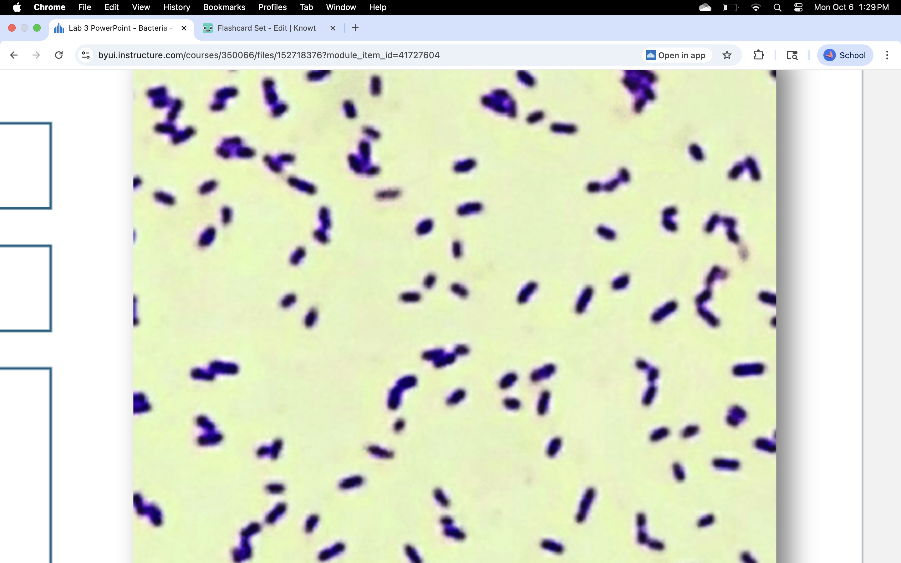 knowt flashcard image
