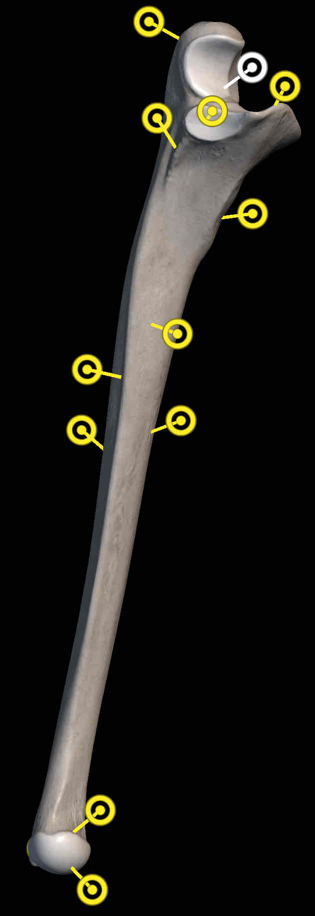 <p>Name the structure </p>