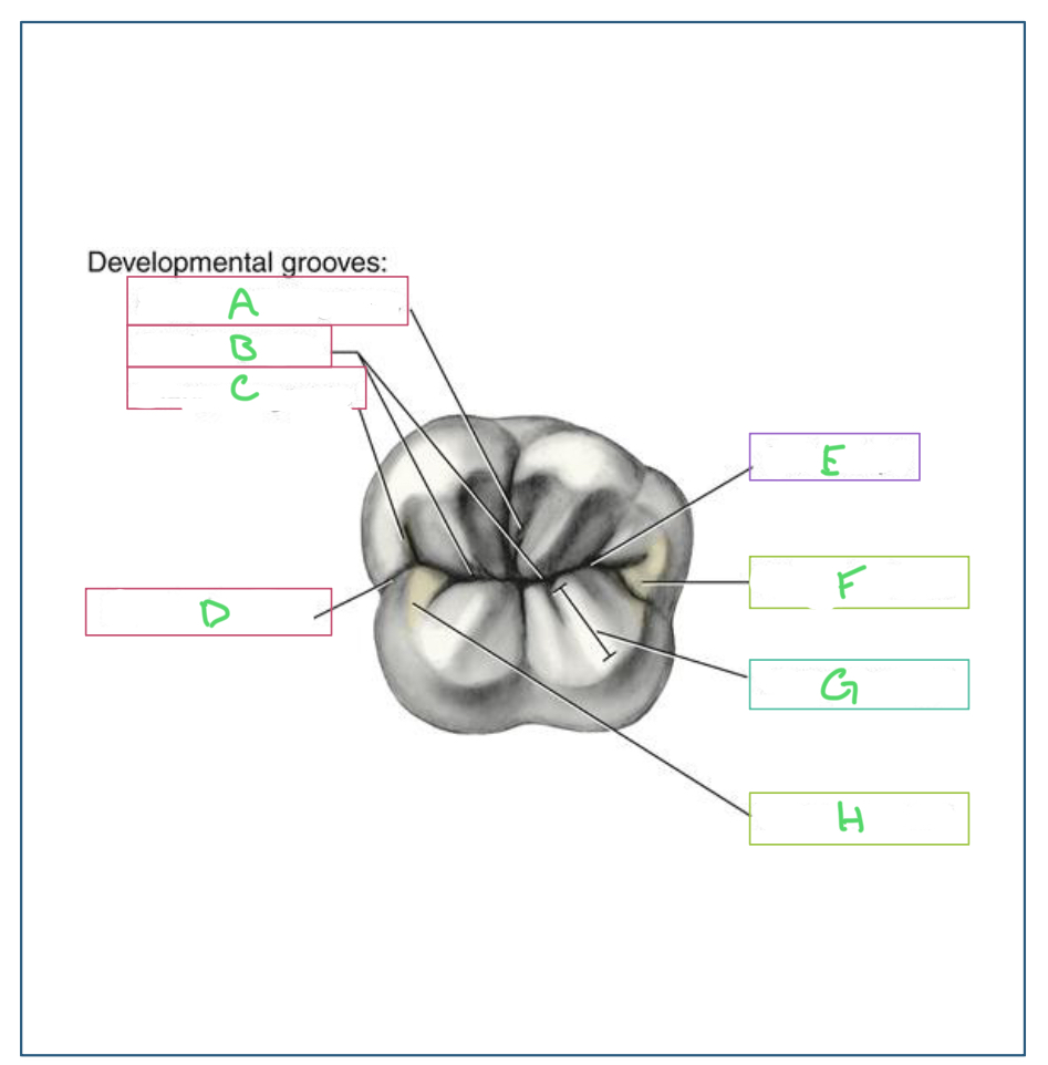 <p>E?</p>