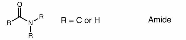 <p>amide</p>