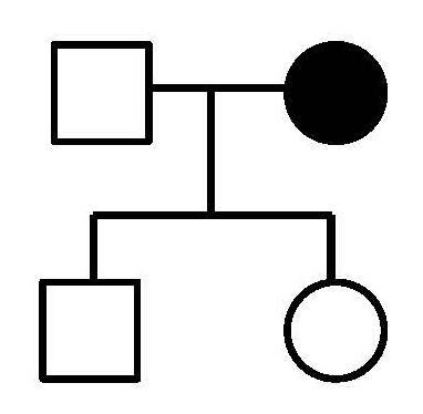 Is the inheritance pattern indicated by the shaded symbol in this pedigree consistent with the inheritance pattern of an X-linked recessive characteristic?