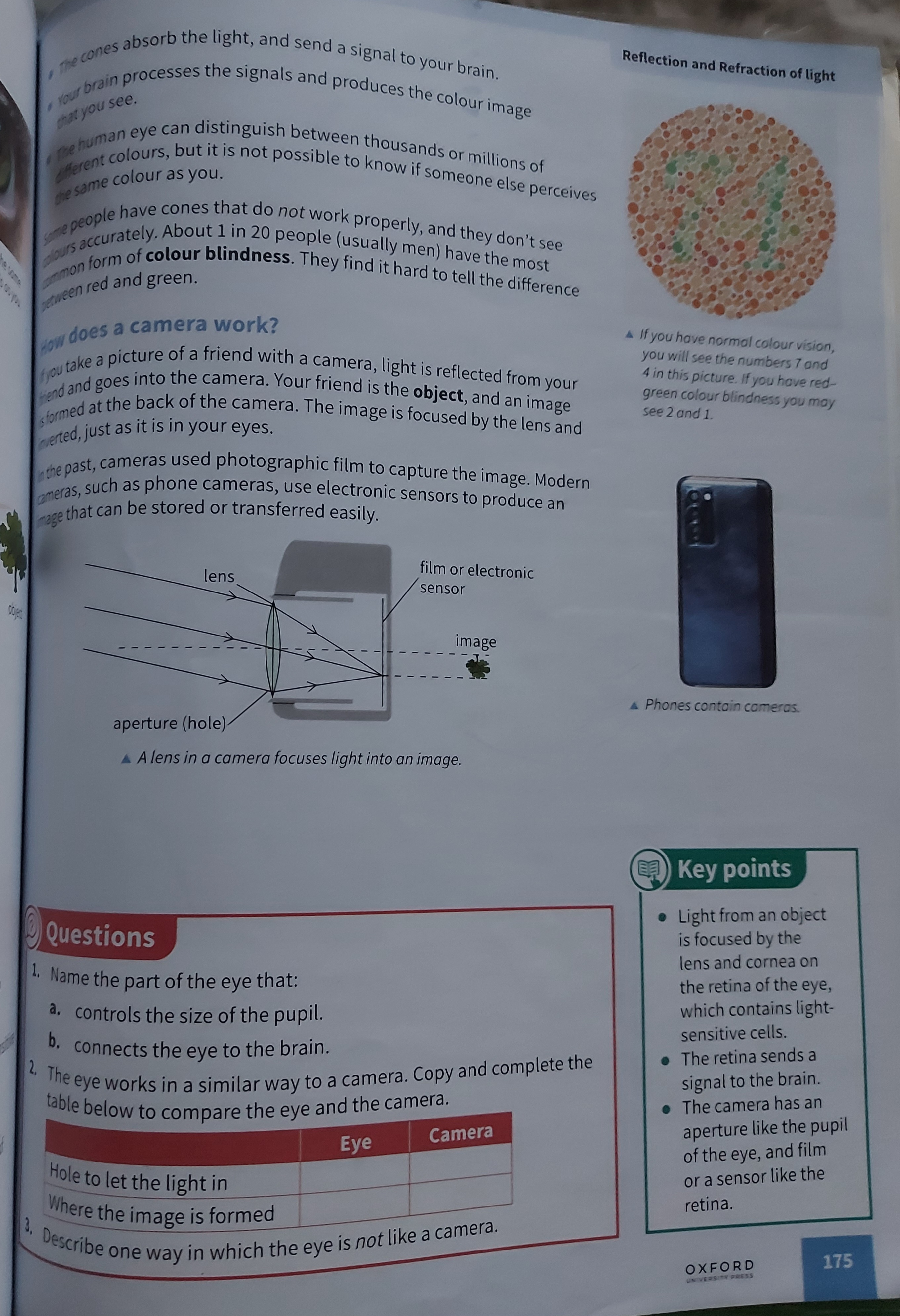 <p>Working of the eye </p>