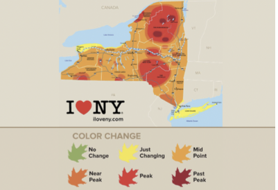 <p>Polygon data maps </p>