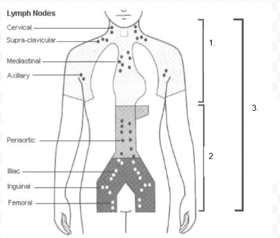 <ol><li><p>Mantel Field</p></li><li><p>Inverted Y</p></li><li><p>TNI: Total Nodal Irradiation</p></li></ol><p></p>