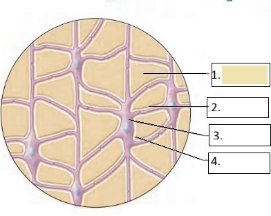 <p>1</p>