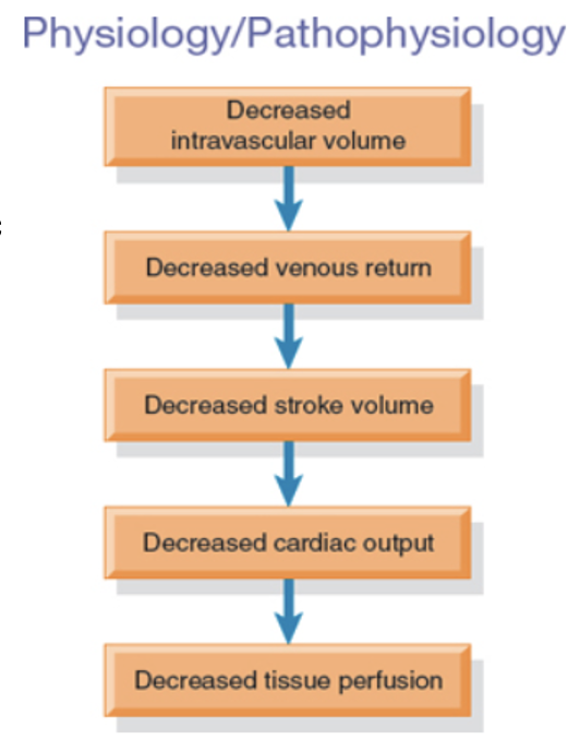 <p><span>Decreased intravascular volume due to fluid loss. </span></p>