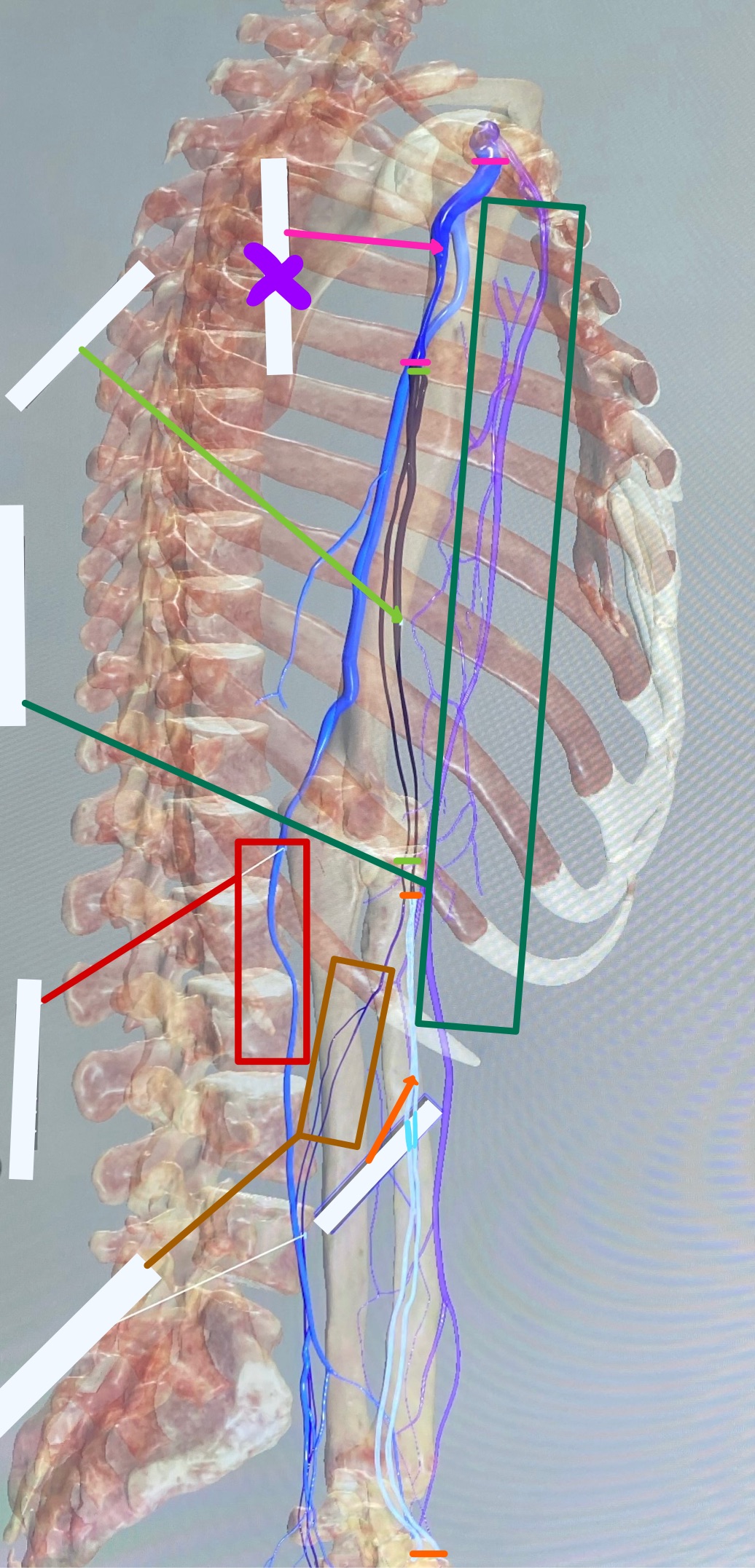 knowt flashcard image