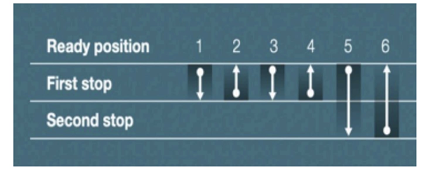 <p>Heterogenous Sample Pipetting Technique</p>
