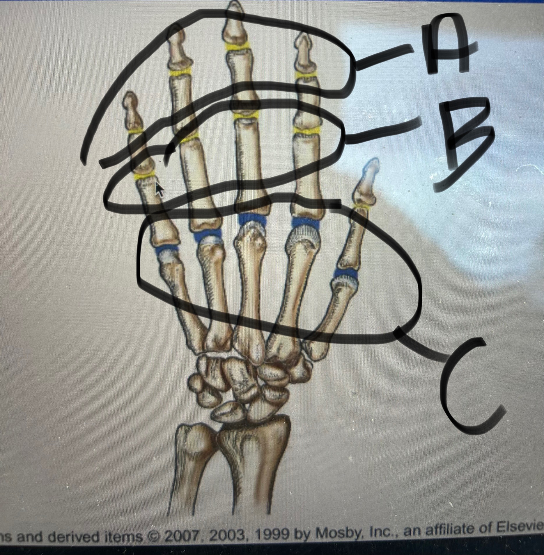 <p>label this image</p>