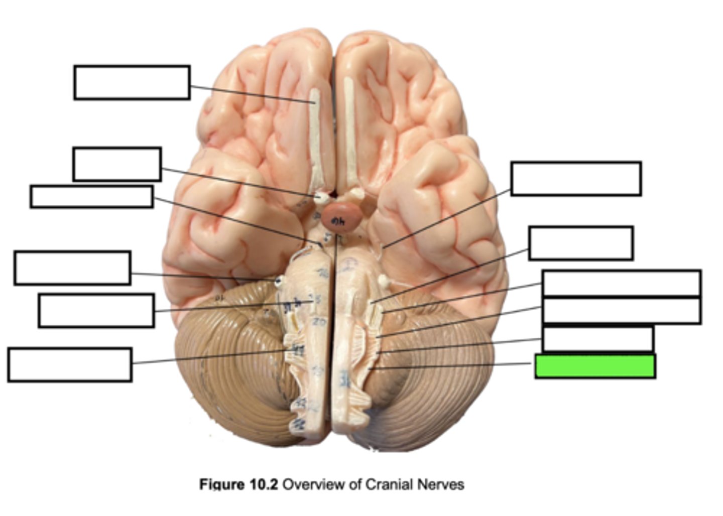 knowt flashcard image