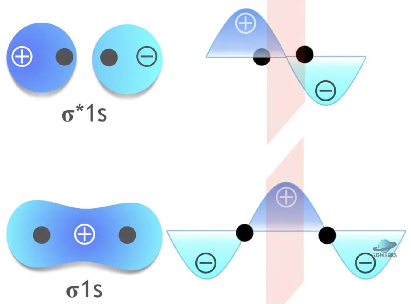 <p>Gerade (g) vs. ungerade (u): Quirk that only shows up in <strong>homonuclear diatomics</strong></p><ul><li><p class="p2"><strong>Gerade (g = “even”):</strong> The orbital <strong>does not change sign</strong> under inversion.</p><ul><li><p class="p2">Example: σ(1s) bonding orbital in H₂.</p></li></ul></li></ul><ul><li><p class="p2"><strong>Ungerade (u = “uneven”):</strong> The orbital <strong>changes sign</strong> (ψ → –ψ) under inversion.</p><ul><li><p class="p2">Example: σ*(1s) antibonding orbital in H₂.</p></li></ul></li></ul><p> </p><p>Gerade vs. Ungerade of MOs:</p><ul><li><p>For <strong>σ orbitals (from s-s or p<sub>z</sub>-p<sub>z</sub> overlap along the axis)</strong>:</p><ul><li><p>Bonding (constructive) → <strong>gerade</strong></p></li><li><p>Antibonding (destructive) → <strong>ungerade</strong></p></li></ul></li><li><p><strong>For π orbitals (from p<sub>x</sub>-p<sub>x</sub>/p<sub>y</sub>-p<sub>y</sub> side-on overlap):</strong></p><ul><li><p>Bonding (constructive) → <strong>ungerade</strong> </p></li><li><p>Antibonding (destructive) → <strong>gerade</strong></p></li></ul></li></ul><p> </p><p>Naming Scheme:</p><ul><li><p><strong>Number</strong> (1, 2, 3, …) = <em>which level it is</em> in that symmetry/type (lowest = 1, then up).</p></li><li><p><strong>Letter (σ or π)</strong> = type of orbital (end-on vs side-on overlap).</p></li><li><p><strong>g/u</strong> = symmetry under inversion (gerade/ungerade).</p></li></ul><p></p><img src="https://knowt-user-attachments.s3.amazonaws.com/250f5f86-673b-43ec-b4ce-8635102fc148.png" data-width="100%" data-align="center"><p> </p>