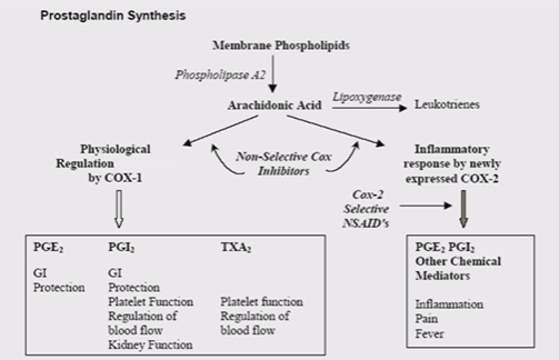 <p>If on NSAIDs for a long period of time causes thining of the mucosa so the underlying mucosa is suseptible to damage, this is due to them reducing prostaglandin formation as they inhibit COX 1 as well as COX 2, causes gastric ulceraton and bleeding, can be prevented with a stable PG₁ analogue </p>