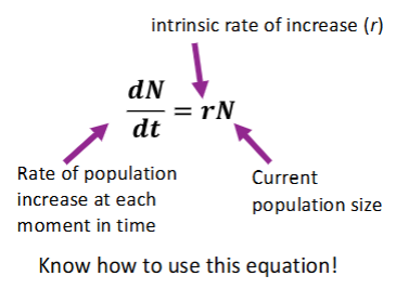 <ul><li><p>Growth in ideal &amp; unrestricted conditions </p></li><li><p>Population increases from the starting population (N) size at each time point by a constant proportion (r)</p></li><li><p>Simplest model of population growth </p></li><li><p>J-shaped growth curve </p></li></ul><p>𝚫𝑵/𝚫𝒕 = 𝑩 − 𝑫</p>