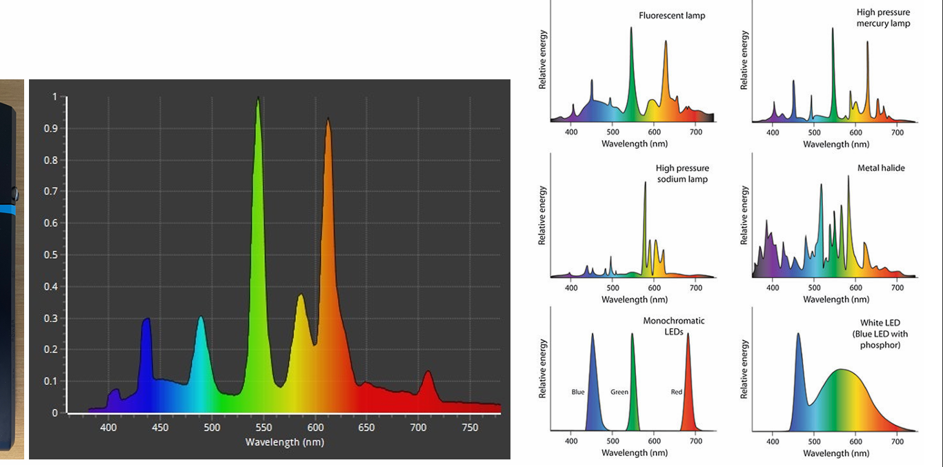 <p>spectrum of light types/sources:</p>