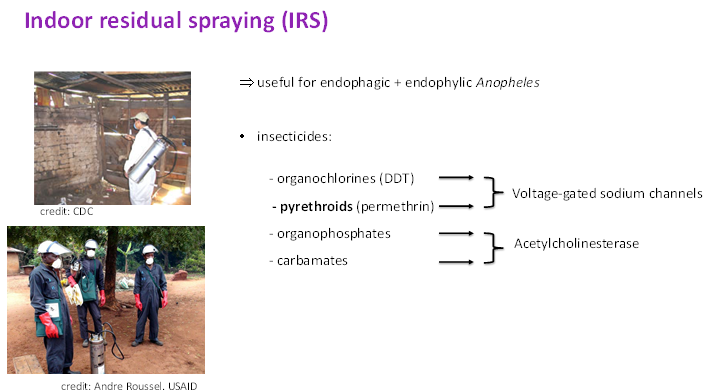 <p>insecticides supplied as wettable powder</p><p>sodium channel inhibition = neural discharge resulting in depolarization of<span>&nbsp; </span>the membranes of the nervous system. Insect is paralysed.</p><p>acetylcholinesterase = hydrolyses acetylcholine (neurotransmitter) and with that terminates nerve impulses.</p>