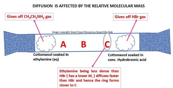 <p>Molecules with lighter masses <span style="font-family: __bwModellica_c589ae, __bwModellica_Fallback_c589ae">→ diffuses faster</span></p><p><span style="font-family: __bwModellica_c589ae, __bwModellica_Fallback_c589ae">Molecules with heavier masses → diffuses slower</span></p>