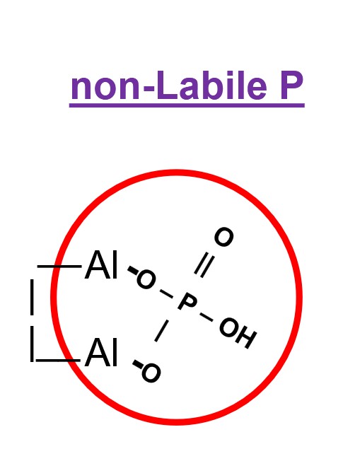 <p>ion forms two ‘covalent ‘O-P bonds with Al or Fe on clay mineral surfaces</p>
