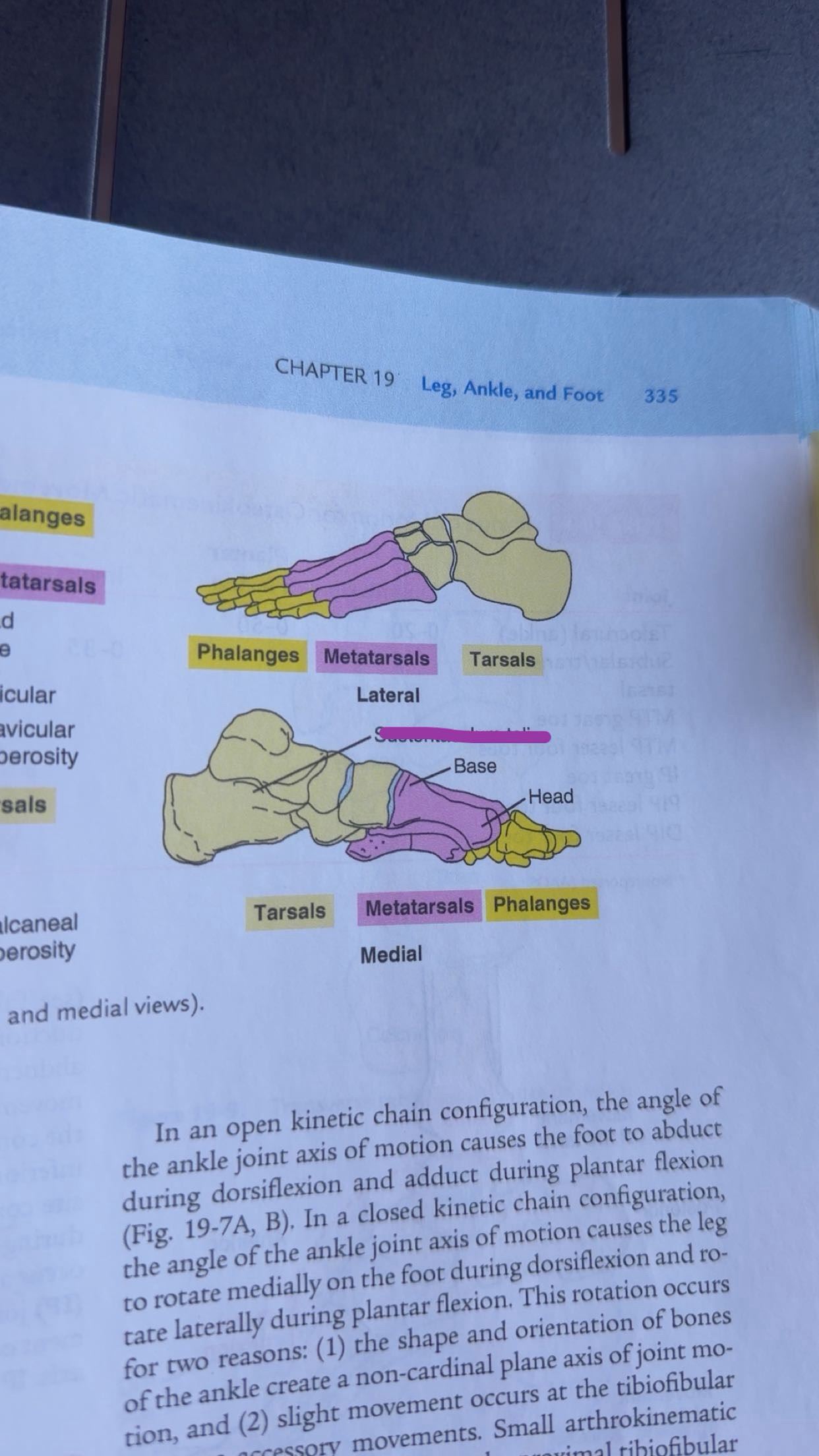 <p>what is purple?</p>