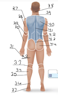 <p>42</p>