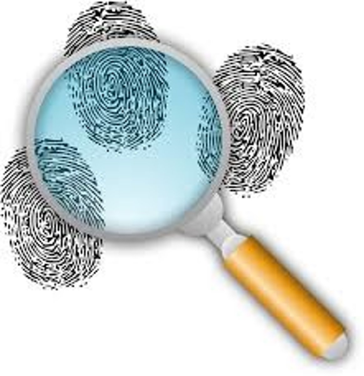 <p>facts that support or contradict a hypothesis</p>