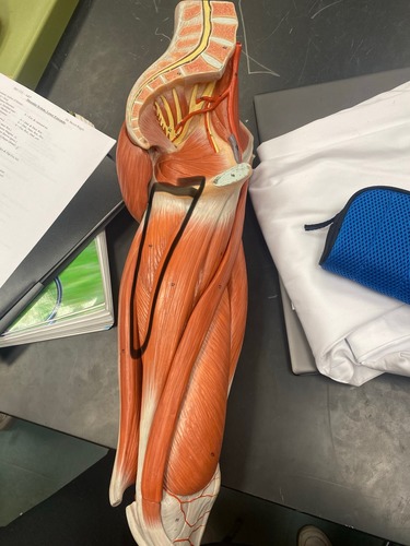 <p>Medical side of big toe of left foot</p>