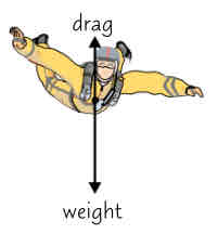 <ul><li><p>need to be able to describe all forces acting on isolated object/ a system - i.e. every force acting on object/ system but none of forces the object/ system exerts on rest of world</p></li><li><p>example → a skydiver’s weight acts on him pulling him towards ground &amp; drag (air resistance) also acts on him, in opposite direction to his motion</p></li><li><p> can be shown using free body diagram</p></li><li><p>sizes of arrows show relative magnitudes of forces &amp; directions show the directions of forces acting on object</p></li></ul>