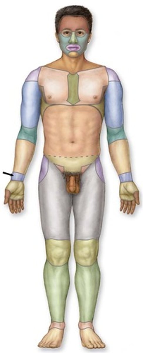 knowt flashcard image
