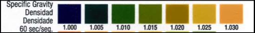 <p>• Indicator: Bromthymol blue (blue green-green-yellow green) </p><p>• pH 6.5 - may interfere with the reaction and bromothymol blue is active in this range</p><p> </p><p>*Specific gravity result over<strong> 1.035 </strong></p><p>• excretion of <strong>dextran </strong></p><p>• excretion of <strong>radiographic contrast media </strong></p><p>• excretion of <strong>infused high molecular weight intravenous fluid</strong></p>