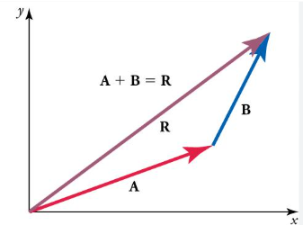 <ul><li><p>align them from head to tail (arrow head to end of arrow)&nbsp;</p></li><li><p>then the resultant (the sum) is the line that connects them from the tail of the first to the head of the second vector&nbsp;</p></li></ul><p></p>