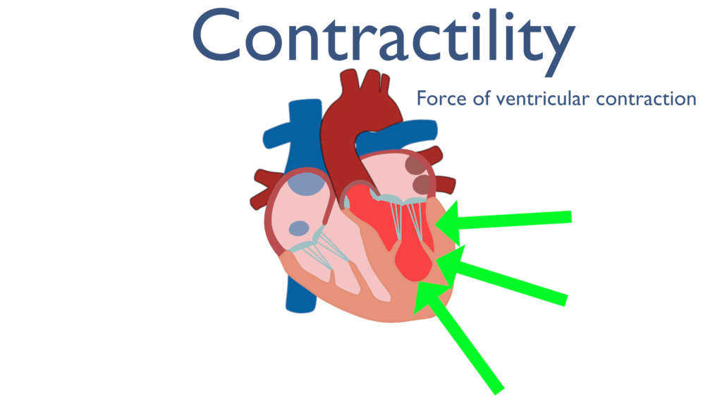 <p> What is contractility?</p><p></p>