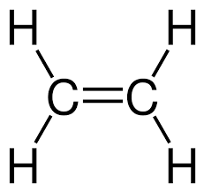 <p>what is a double bond?</p>