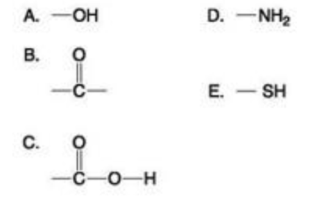 <p>Which of the groups shown above is a functional group that helps stabilize proteins by forming covalent cross-links within or between protein molecules?</p><p>A) A</p><p>B) B</p><p>C) C</p><p>D) D</p><p>E) E</p>