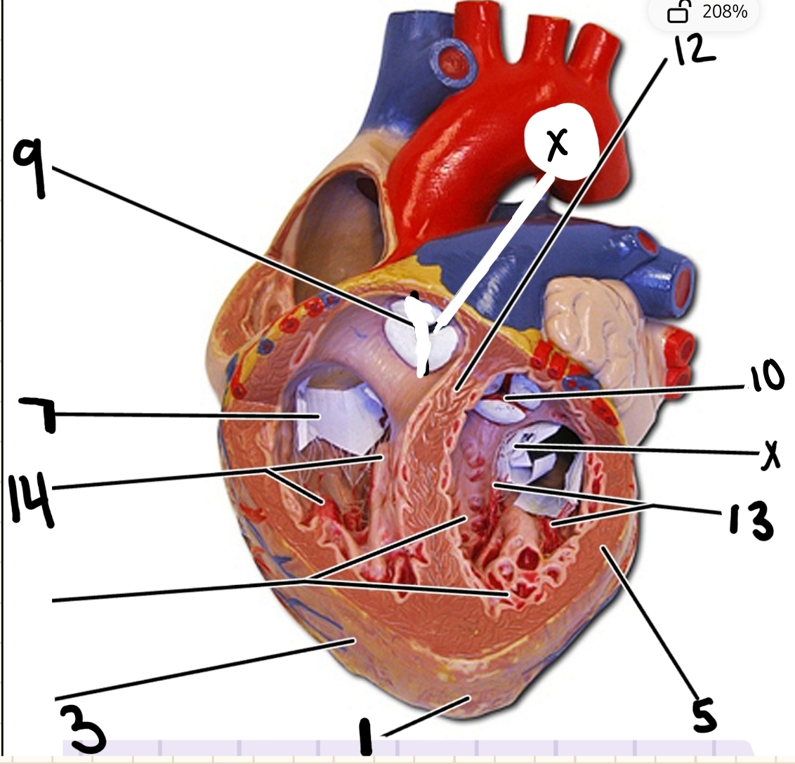 <p>10</p>