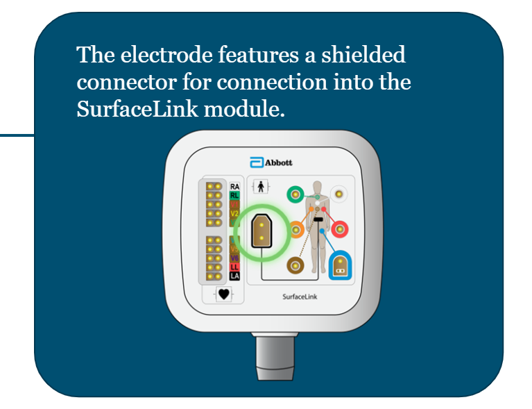 <ol><li><p>System electrical reference for impedance and ECG measurements</p></li><li><p>On the patient’s abdomen (think bellybutton) - first one connected, last one disconnected </p></li><li><p>Connects to the shielded connector on the SurfaceLink Module (see picture)</p></li></ol><p></p>