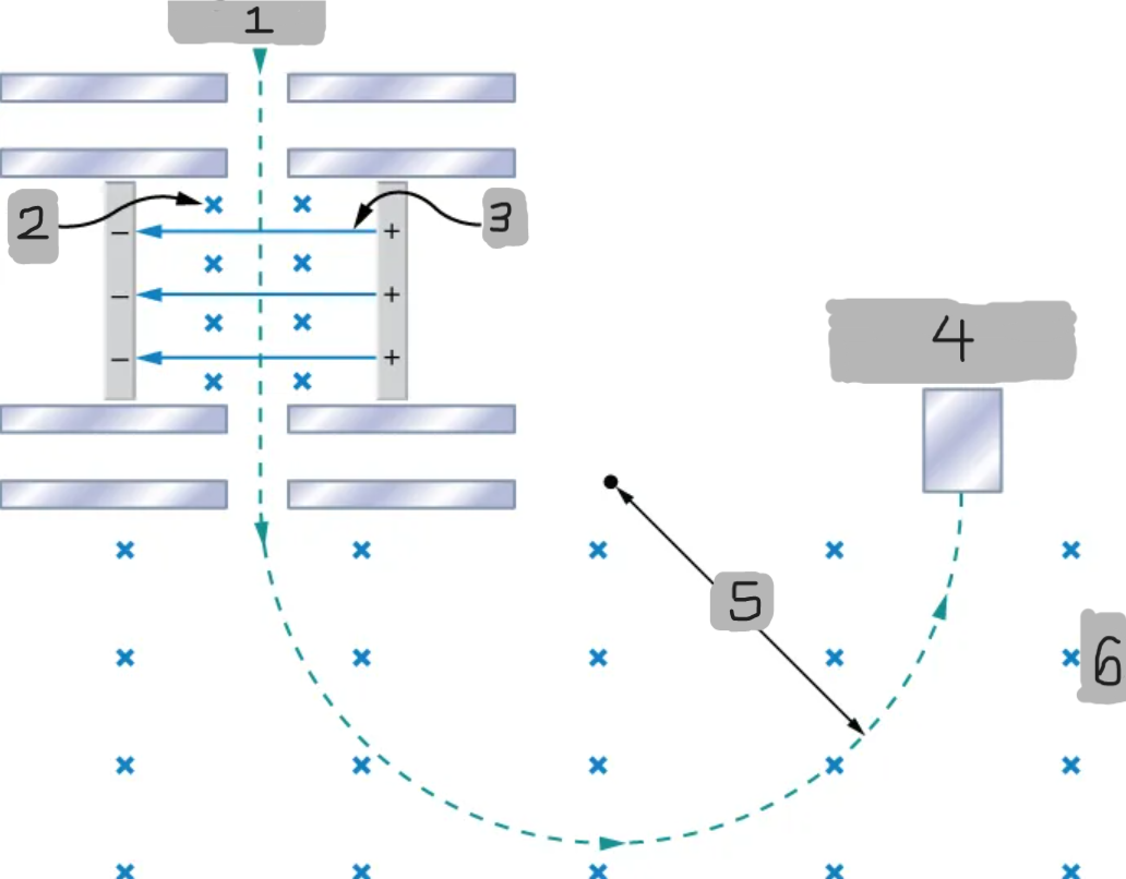 <p>(4)</p>