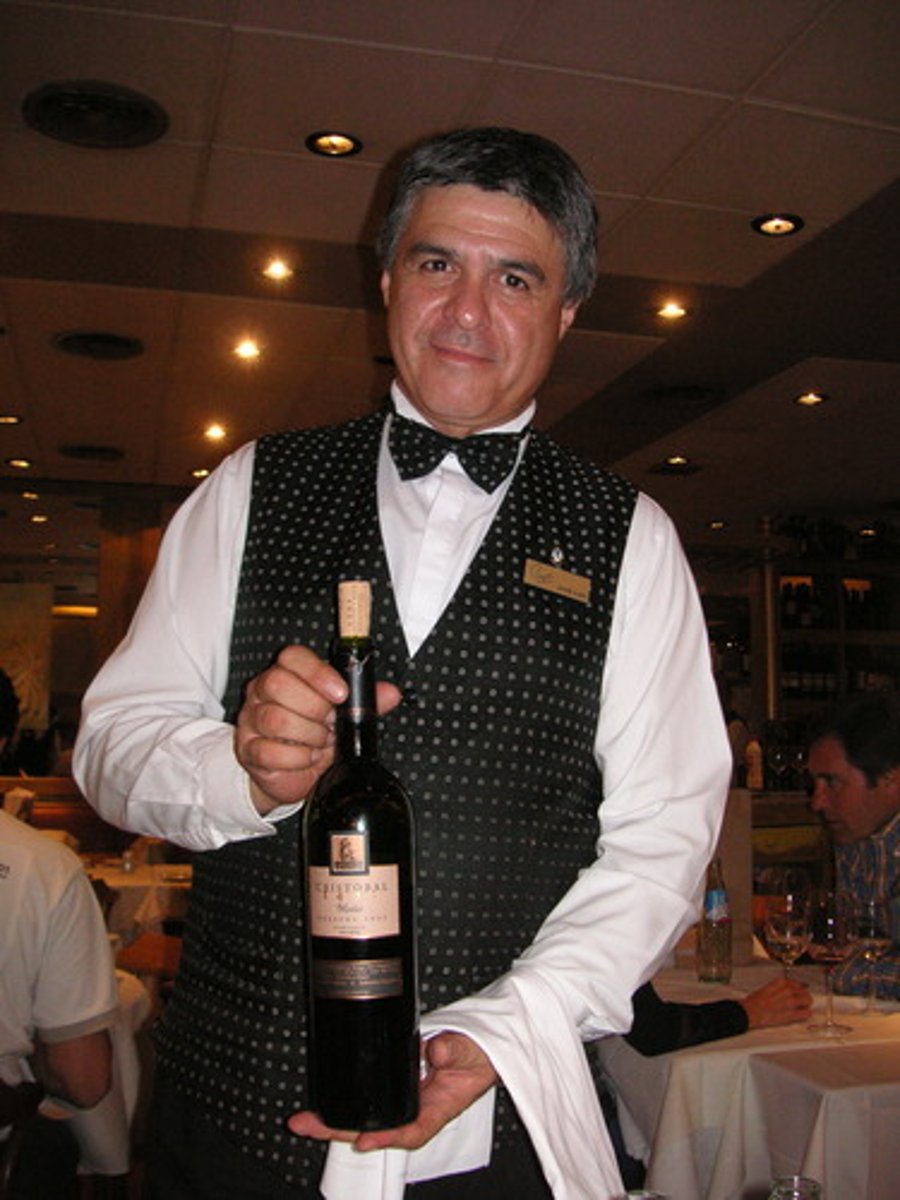 <p>server (masculine)</p>